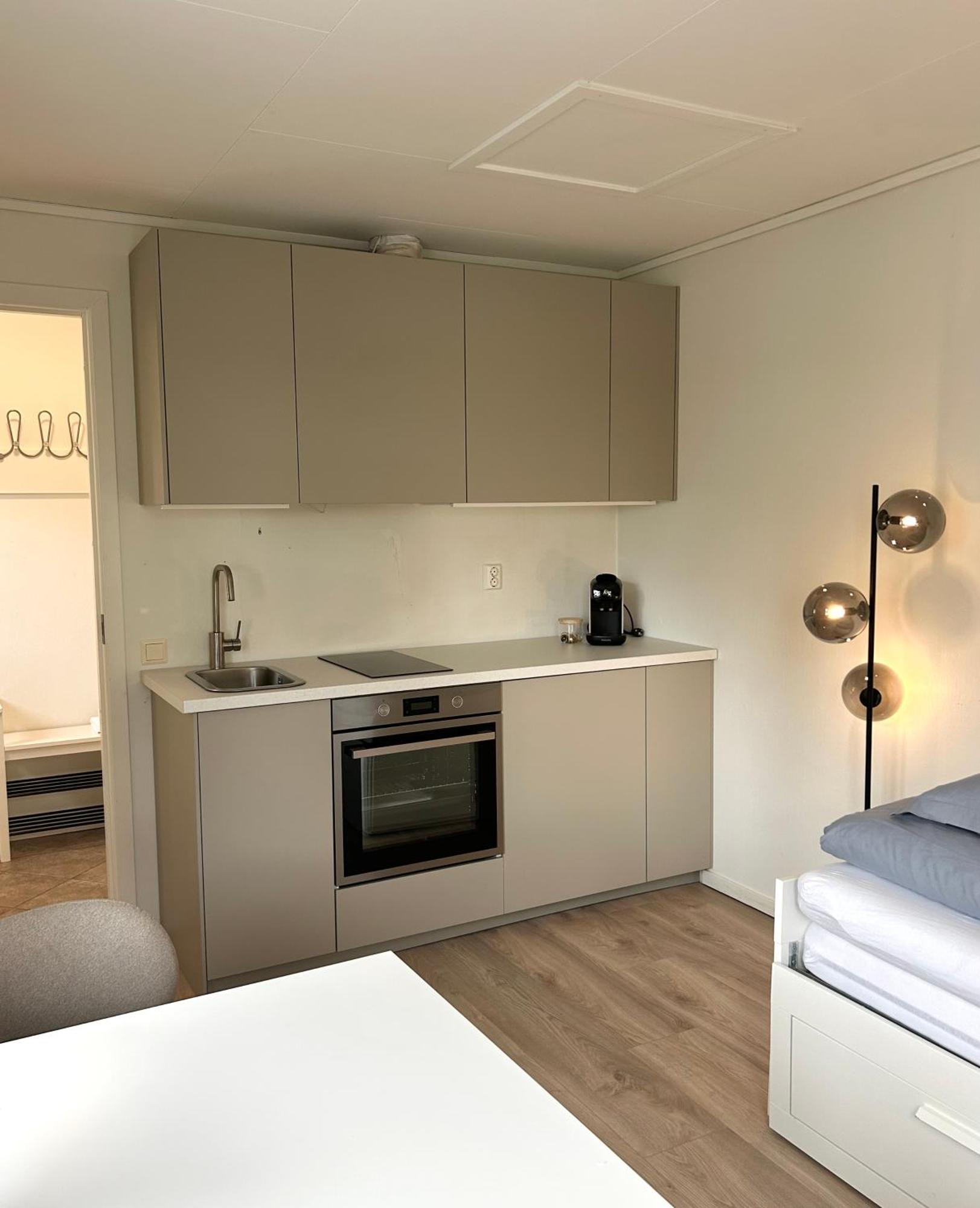 Newly Renovated Studio Apartment - Free Parking And Ev Docking Trondheim Eksteriør bilde